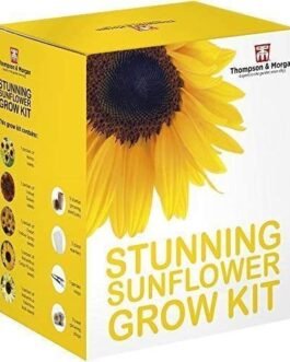 Sunflower Seed Growing Kit