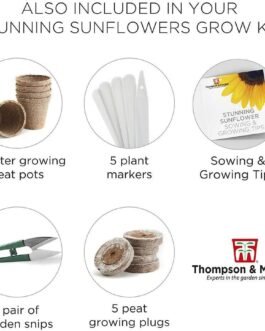 Sunflower Seed Growing Kit