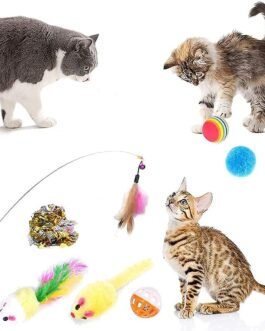 14 Pack Cat Toys