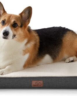 Orthopedic Dog Bed