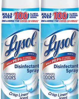 Lysol Disinfectant Spray