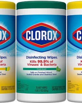 Clorox Disinfecting Wipes